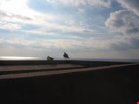 La via dell'Amore