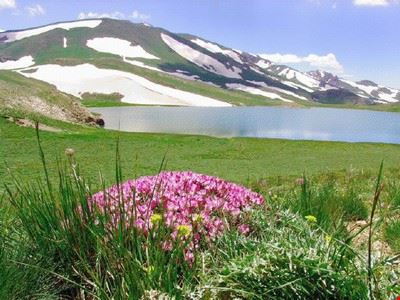  Teheran  