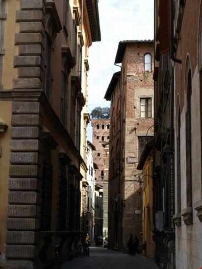 Guinigi Tower Lucca  