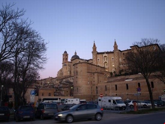  Urbino  