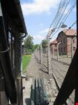 cracovia auschwizt