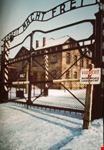 cracovia auschwizt