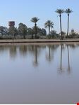 marrakech jardin de la menara