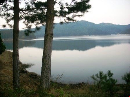  E' il più grande dei tre laghi artificiali della Sila piccola per la produzione di energia elettrica. Nei suoi pressi Villaggio Palumbo, capitale turistica della Sila crotonese  