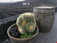 lanzarote lanzarote
