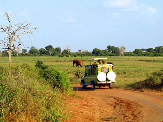  Tsavo East National Park
PH: Pietro Viti  