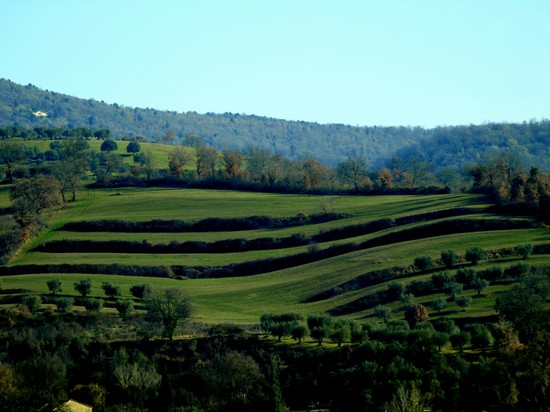 Colline sinuose