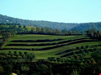 colline sinuose perugia