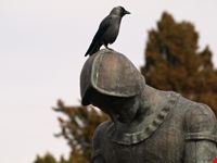 sulla  via del ritorno con un corvo in testa assisi