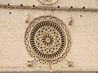 rosone assisi