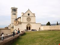 assisi assisi
