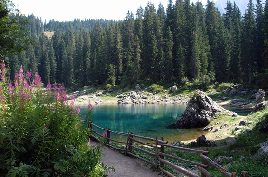 I colori alpini