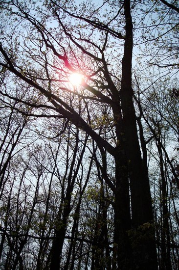 Il sole pavullese
