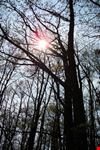 Il sole pavullese