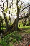 Nei pressi del castello Montecuccoli