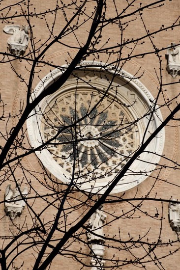 Basilica di San Francesco