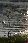 Lungo il fiume