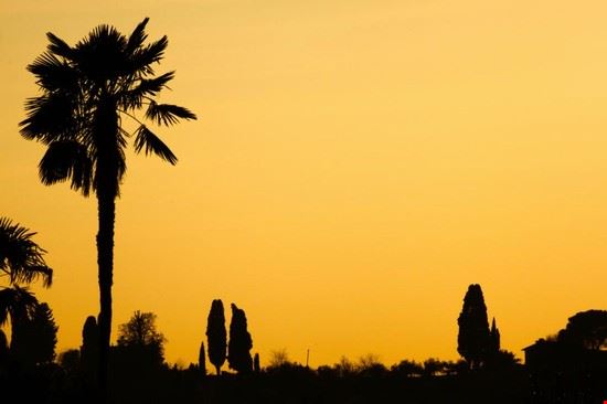 L’Oltrarno e il belvedere Firenze  