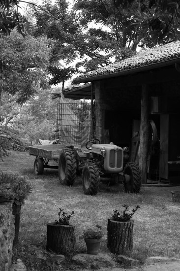 Agricoltura