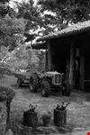 Agricoltura