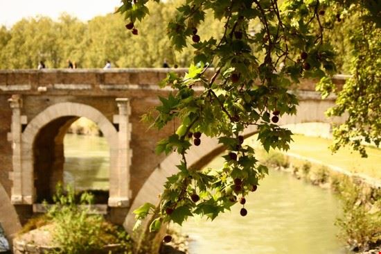 Isola Tiberina Roma  