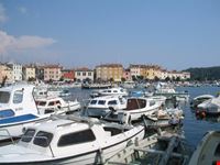 Rovinj il porticciolo