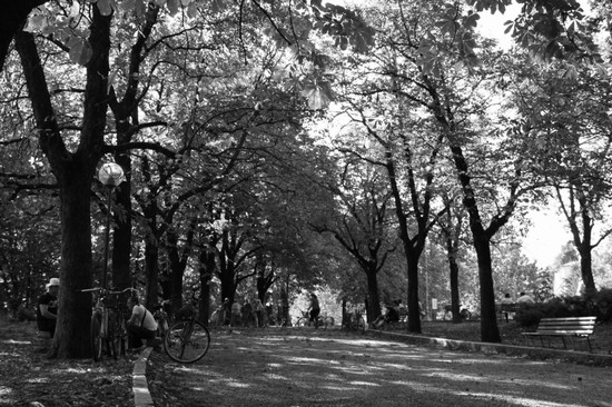 Parco