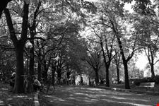 Parco