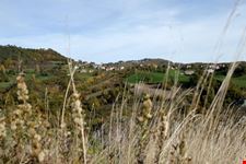 Paesaggio