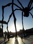 museo Guggenheim Bilbao