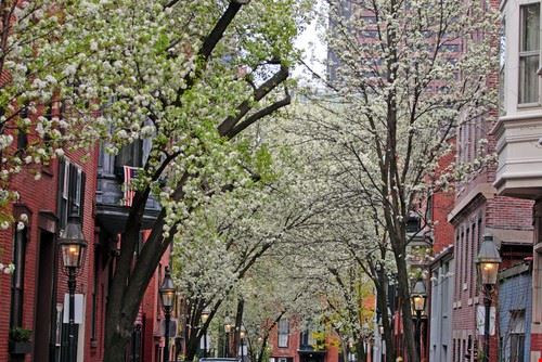  Boston Chee-Onn Leong - www.shutterstock.com Chee-Onn Leong