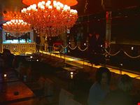 tokyo nightlife