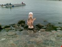 Sirenetta