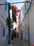 La medina