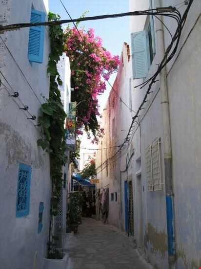  Hammamet  