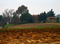 crespina umgebung von crespina