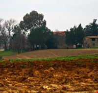 crespina umgebung von crespina crespina umgebung von crespina