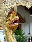 chiang mai naga