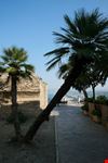 vasto schatten palmen meer und vasto