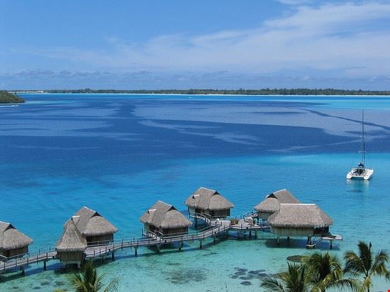  Bora Bora Beefhorse - Creative Commons Beefhorse