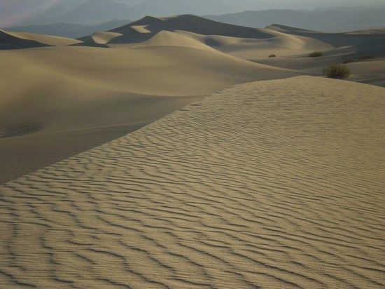Dune