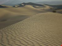 Dune