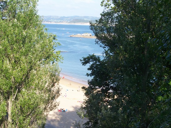 Sardinero
