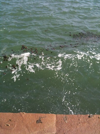 Mare...