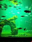 Istituto di Oceanografia