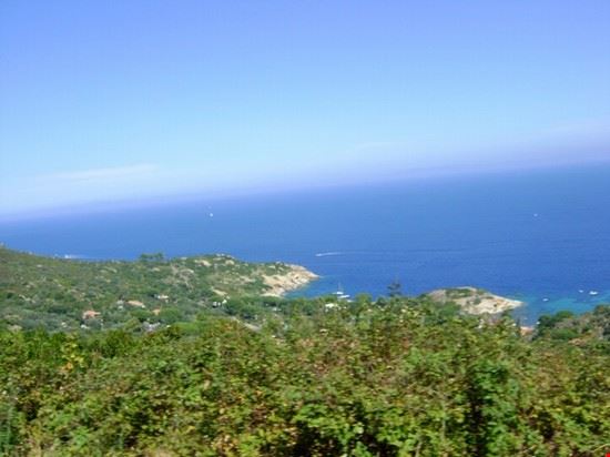  Isola del giglio  