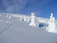 Panorama invernale Passo Brocon