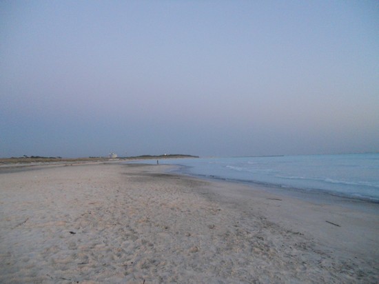 Spiagge Bianche Rosignano Marittimo