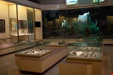 hanoi museum