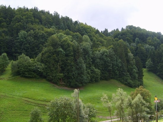 Paesaggio
